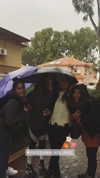 evasela__ Altpins Profile Picture