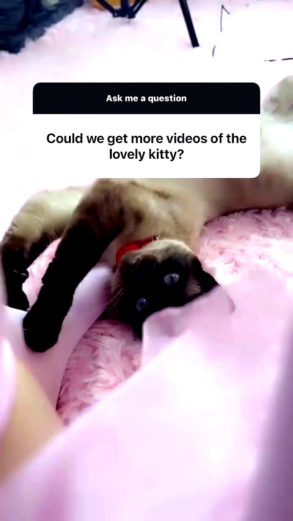 viezery archive video preview
