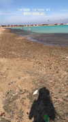 michal_cohen017 Altpins Profile Picture