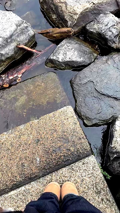 giangg._ giangg._ archive video