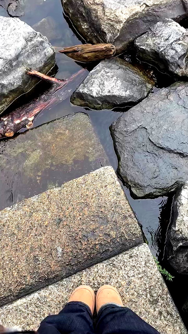 giangg._ archive video preview