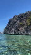 maori_cohen Altpins Profile Picture