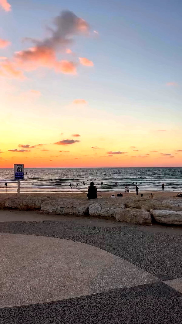 yuval_raz archive video preview