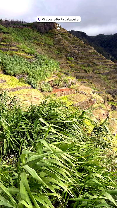 taylor.creeden taylor.creeden archive video