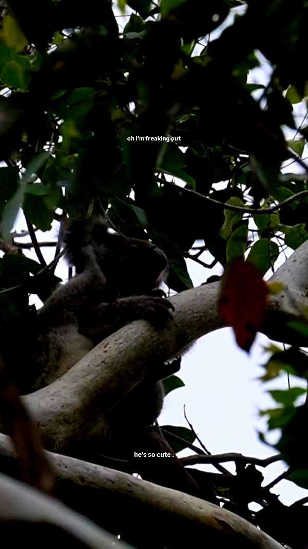 isabella.lauren archive video preview