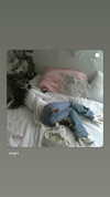 ash.onme Altpins Profile Picture