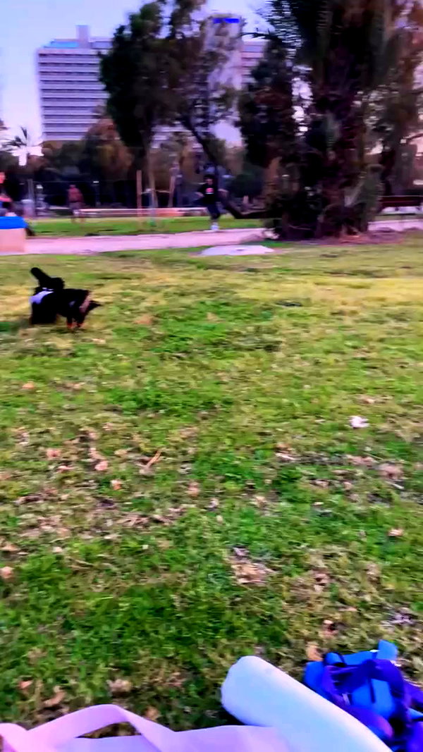 libby_reut archive video preview
