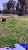 libby_reut Altpins Profile Picture