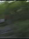 ek3b.chapman Altpins Profile Picture