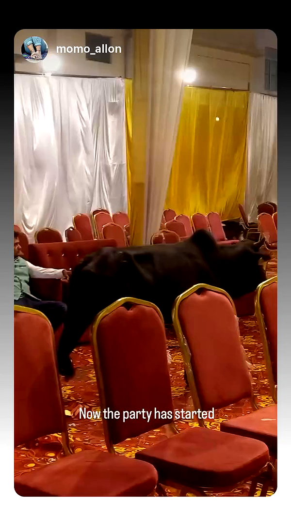 talya.fridland archive video preview