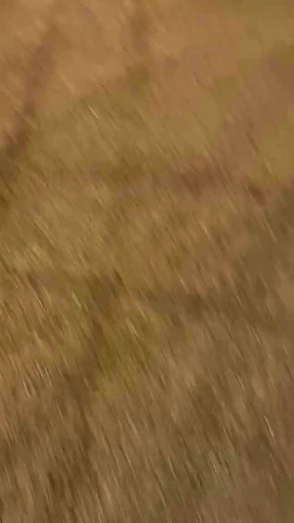 roee_mor_62 archive video preview