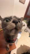 avitallllllllllllllll Altpins Profile Picture