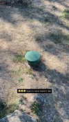 jariya_k_luban Altpins Profile Picture