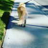 muze Altpins Profile Picture