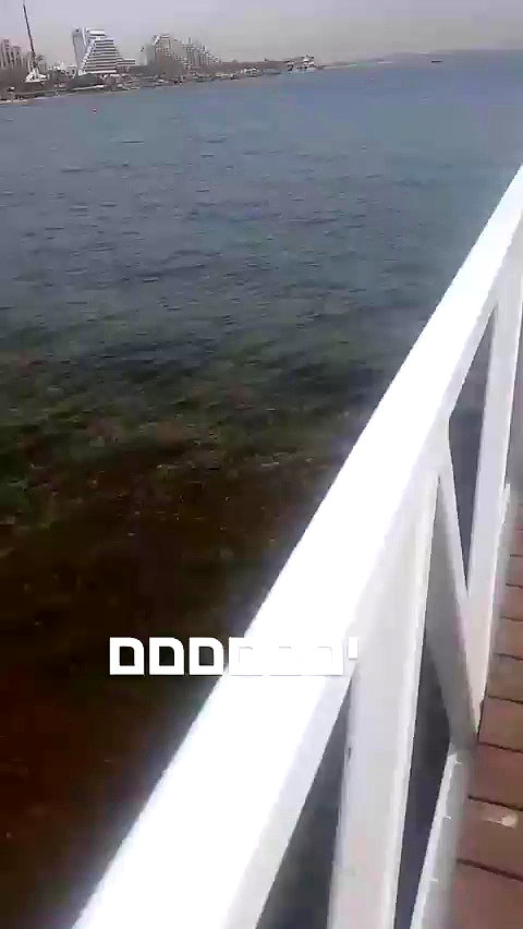 ngoldfain archive video preview