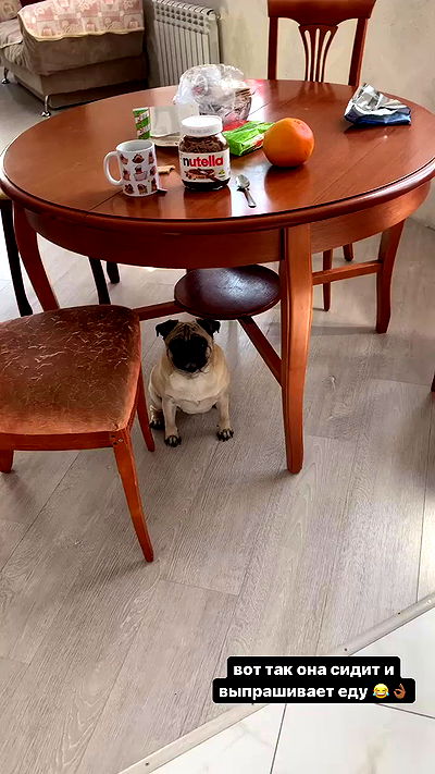 nyityam nyityam archive video