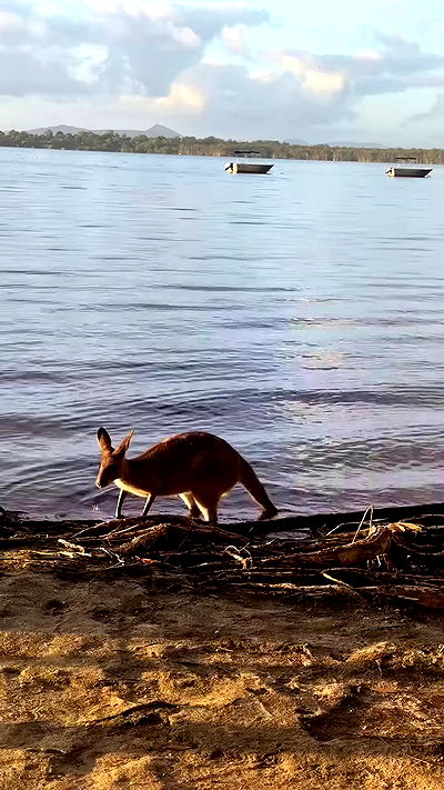 taylor.creeden taylor.creeden archive video