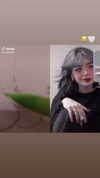 pavuk1_0 Altpins Profile Picture