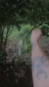 lilly.chann_ Altpins Profile Picture