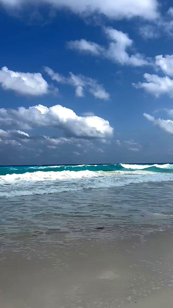 gissell_eli archive video preview