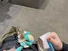 itsnokiiia Altpins Profile Picture