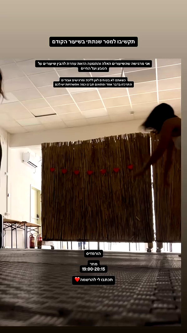 yuval_raz archive video preview