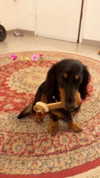 libby_reut Altpins Profile Picture