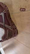 sapir_avisror Altpins Profile Picture