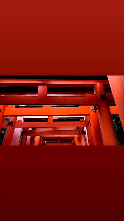 taylor.creeden taylor.creeden archive video