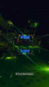 ancideja Altpins Profile Picture