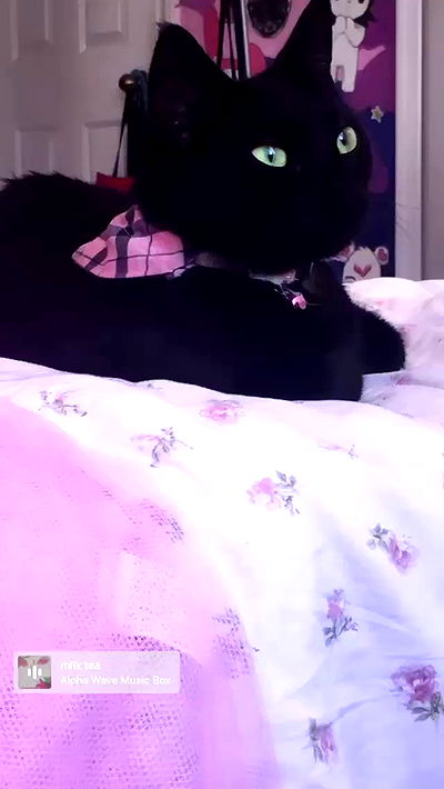 iluvmeww iluvmeww archive video