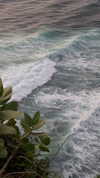 ann.shellll Altpins Profile Picture