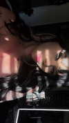sweetmuffinnss Altpins Profile Picture