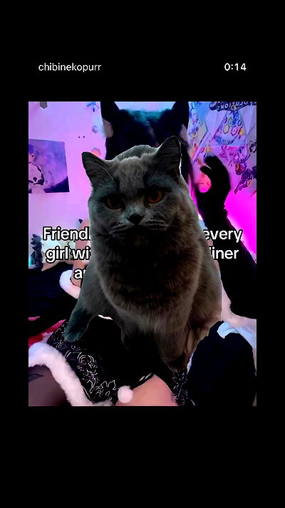 chibinekopurr chibinekopurr archive video