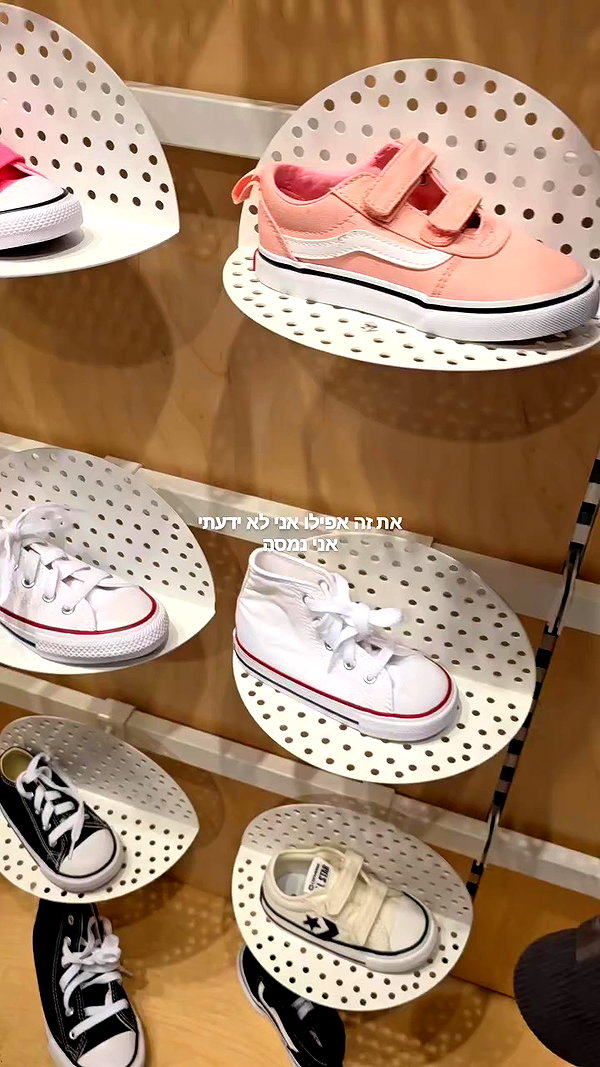 barzomer archive video preview
