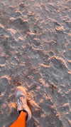 biancanataliie Altpins Profile Picture