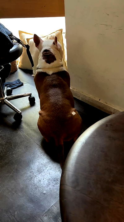 noa_zemlyanski noa_zemlyanski archive video