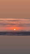 solzarubin_ Altpins Profile Picture