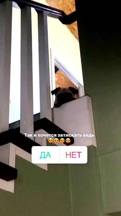 nyityam nyityam archive video