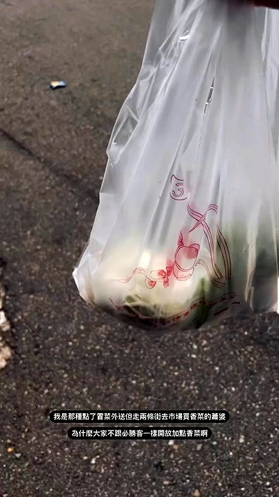 ting851204 ting851204 archive video