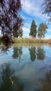 yaarat11 Altpins Profile Picture