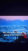 gabbyepstein Altpins Profile Picture