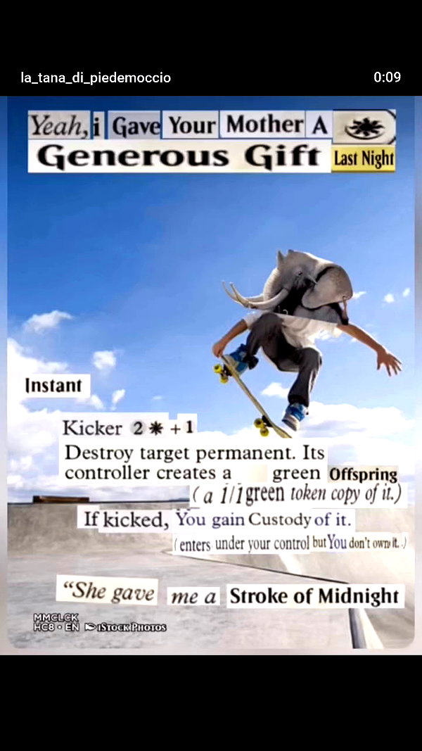 _littlerobin_ archive video preview