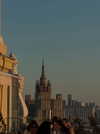 alishevs Altpins Profile Picture