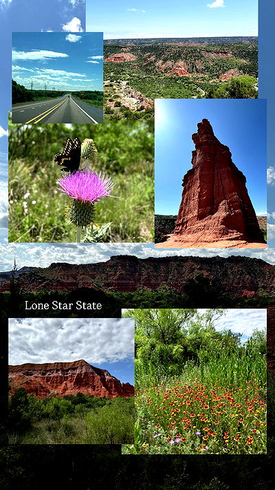 thelizzyporter thelizzyporter archive video