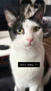 6nattynat9 Altpins Profile Picture
