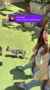 yaarat11 Altpins Profile Picture