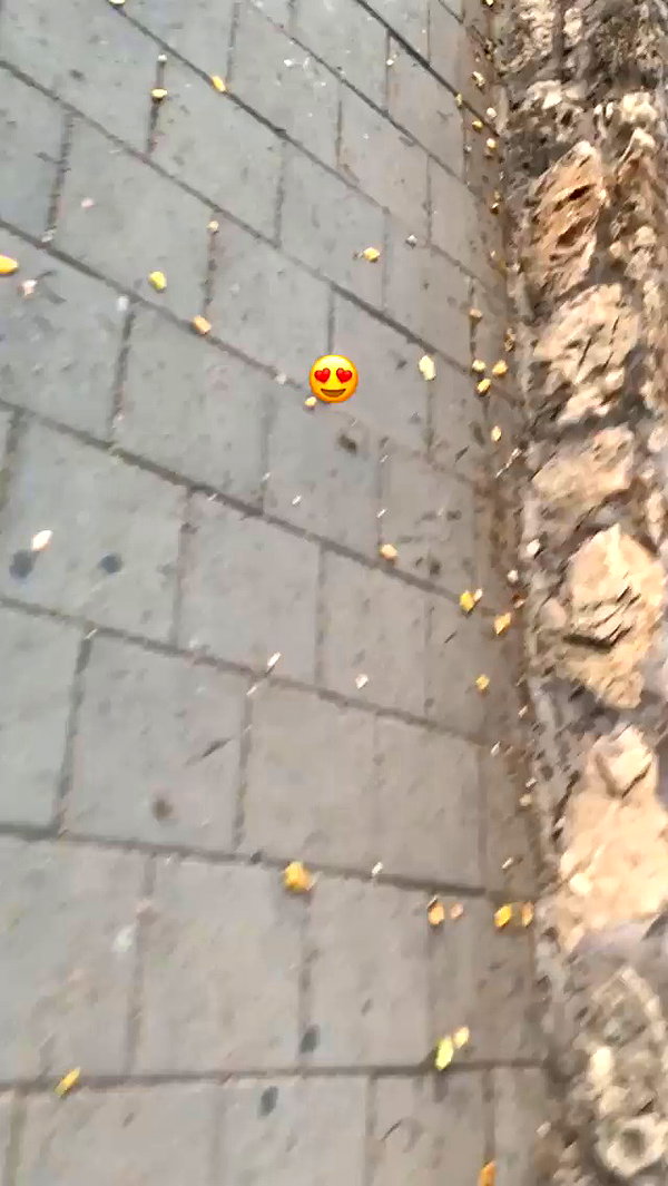 eitan.420 archive video preview