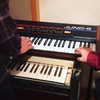 cannonstheband Altpins Profile Picture