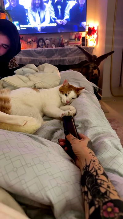 strawberryshanz strawberryshanz archive video